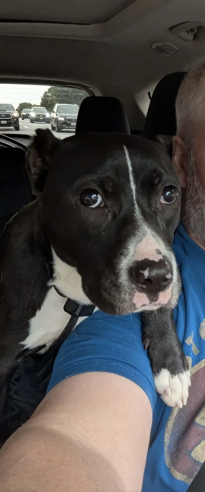 Roxy image 2