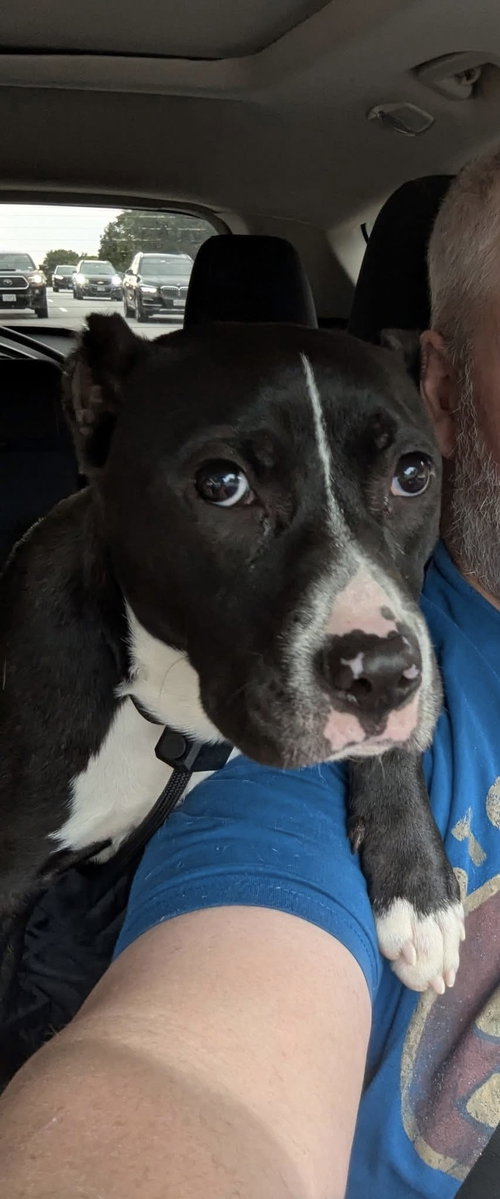 Photo 2 of Roxy