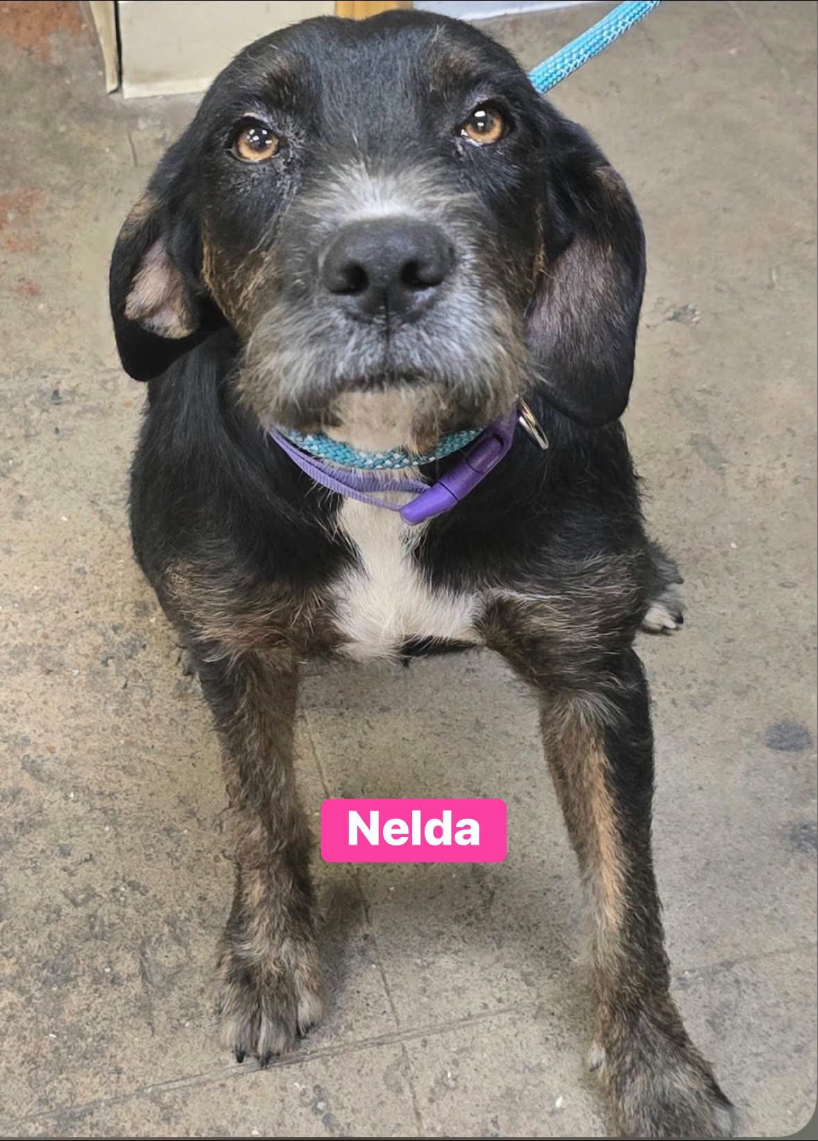 Nelda, photo 2
