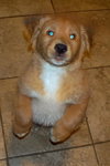 Logan