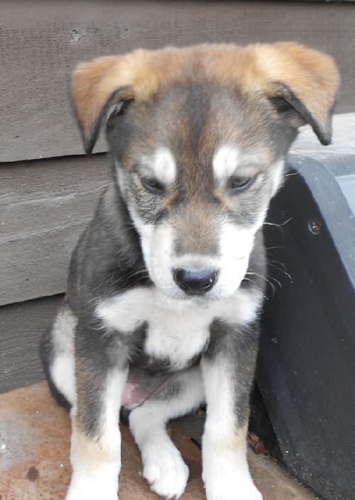 Kira
