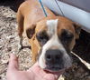 Lilah