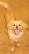 Rusty