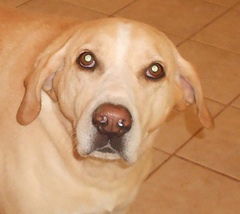 Diego