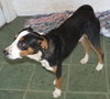 Rudy