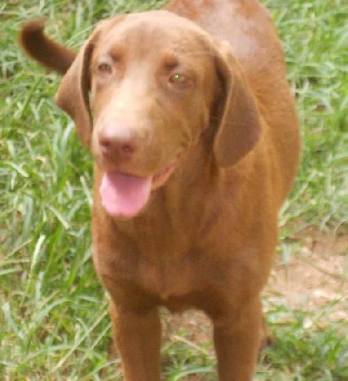 Shirley