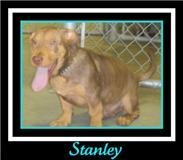 Stanley