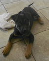 Starsky