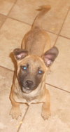 Lola