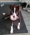 Buster