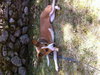 Roxy