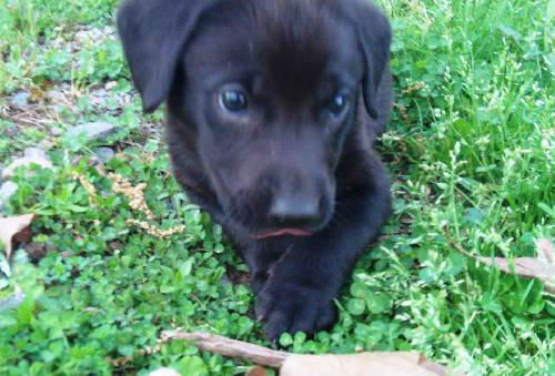 Riley