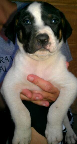 Rudy