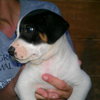 Rudy