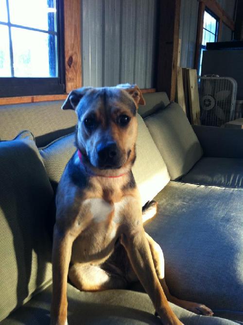 Lucy