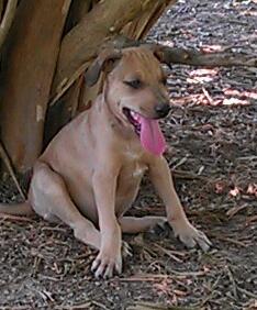 Skeeter