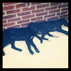 Roxie