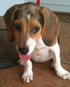 Lilly Beth