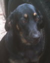 Luke