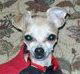 Prissy