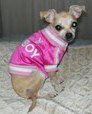 Prissy