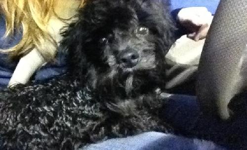 Romeo