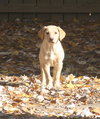 Lily Beth