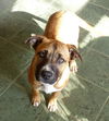 DOTTIE