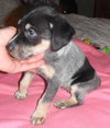 Ruthie