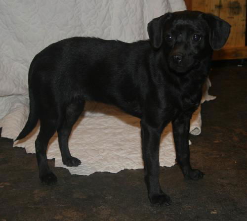 Sookie