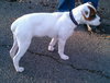 Lilly