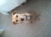 Riley