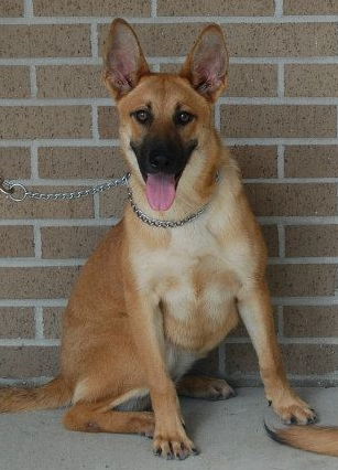 Sandy - URGENT!