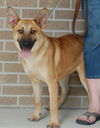 Sandy - URGENT!