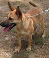 Sandy - URGENT!