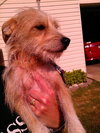 Kissie- very small and sweet!!!