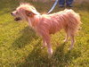 Kissie- very small and sweet!!!
