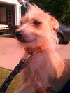 Kissie- very small and sweet!!!