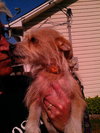 Kissie- very small and sweet!!!