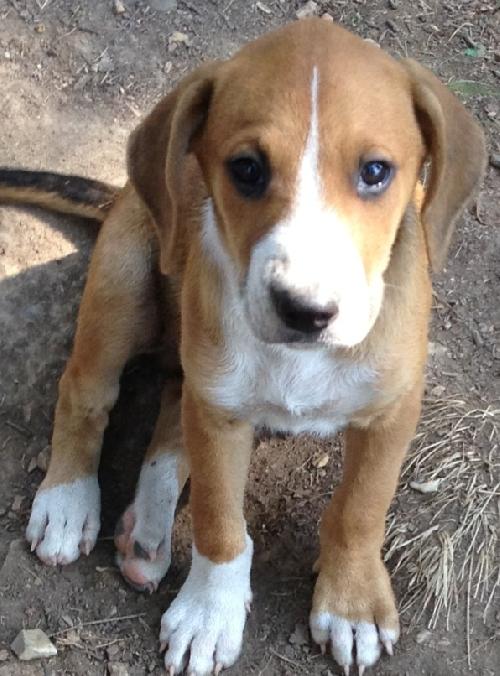 Rudy