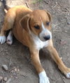 Rudy