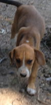 Rudy