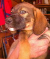 Ryker