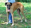 Scooby