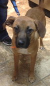 Lucy