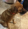 Lucy