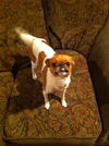 Zoey