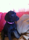 Anndy