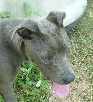 Skyler - URGENT!