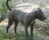 Skyler - URGENT!